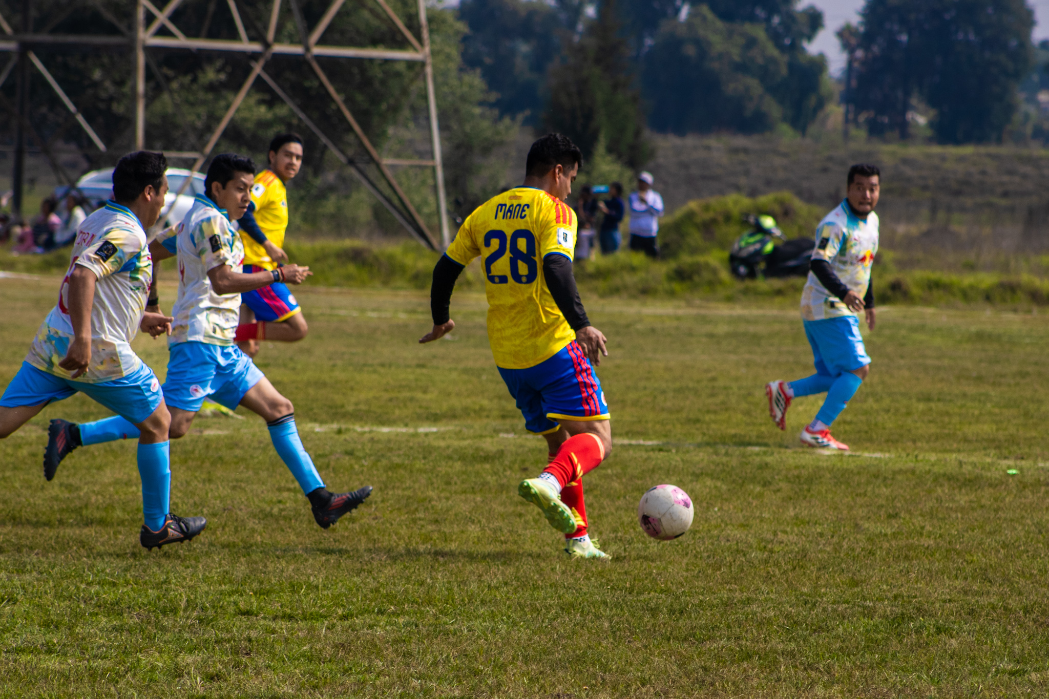 _MG_8033.jpg